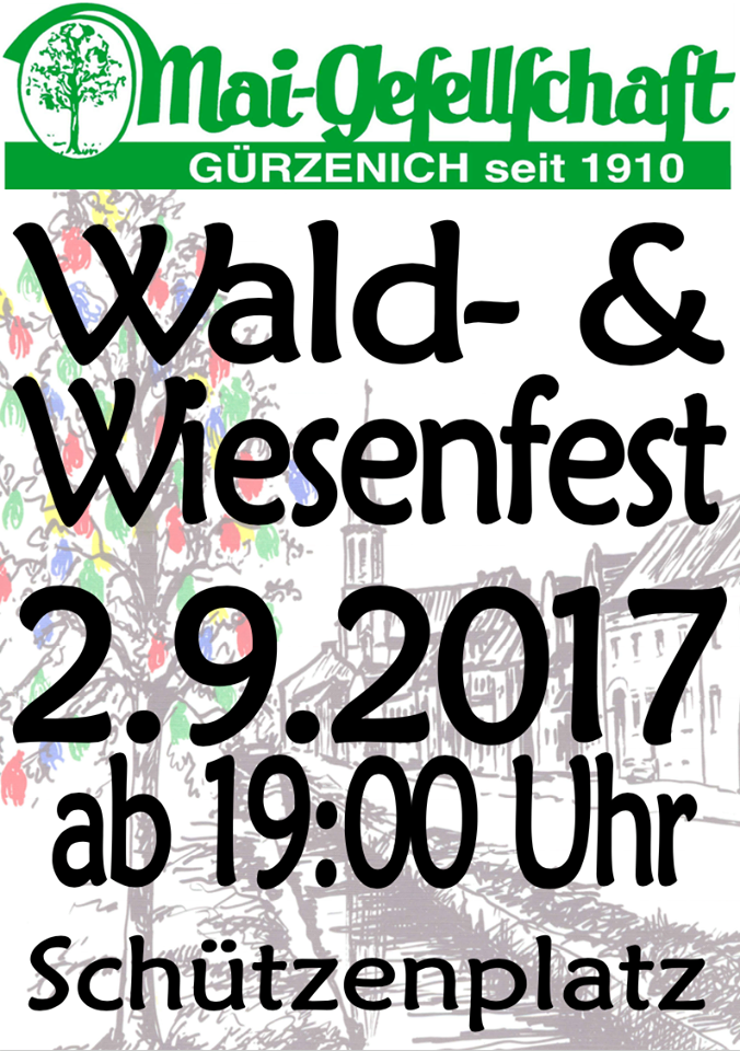 2017 0902 WaldWiesFest